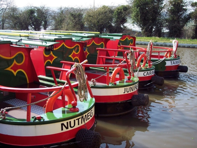  Algunos de nuestros barcos 